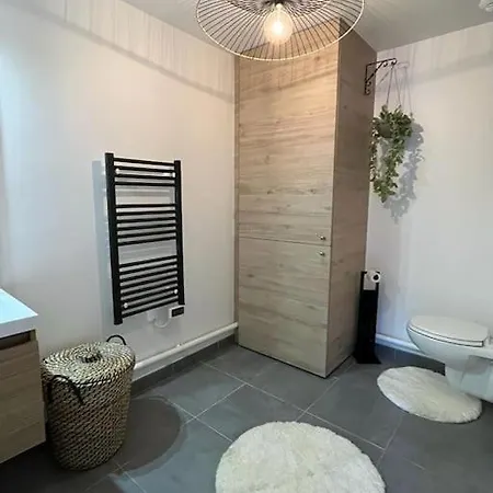 Petit Cocon En Hyper-centre 公寓 *